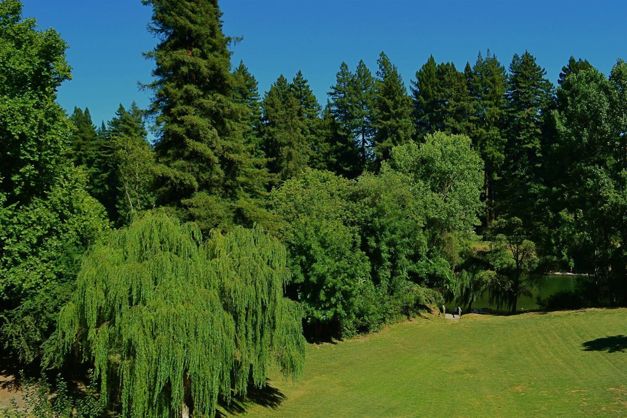 Guerneville Lodge Экстерьер фото
